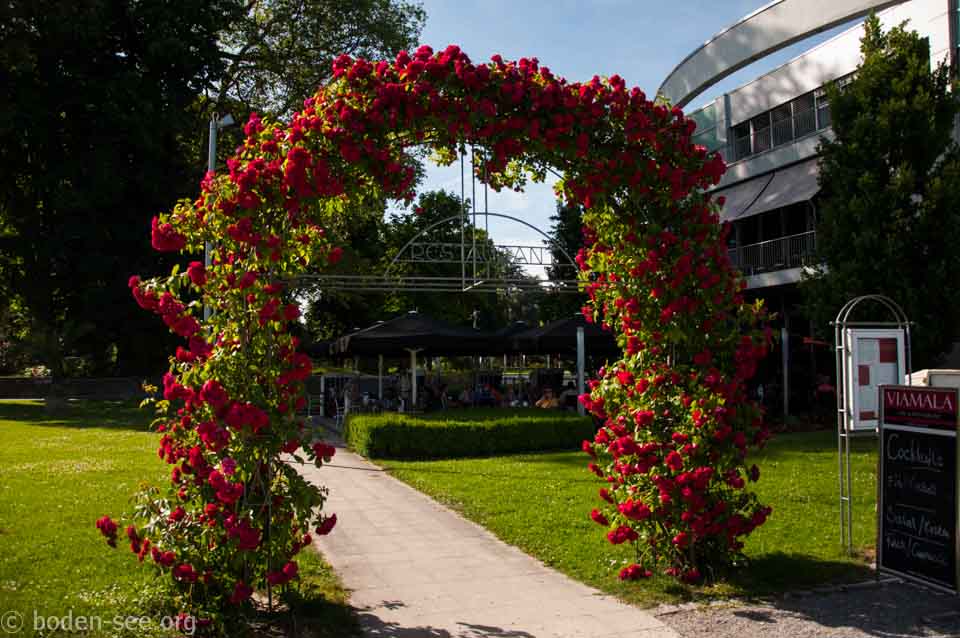 арка из цветов в линдау